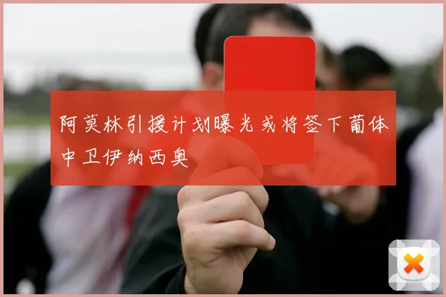 阿莫林引援计划曝光或将签下葡体中卫伊纳西奥