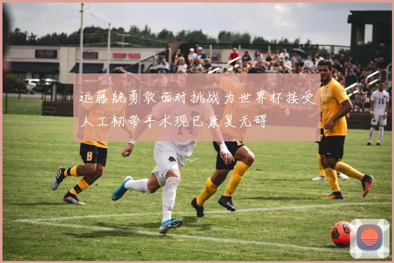 远藤航勇敢面对挑战为世界杯接受人工韧带手术现已康复无碍